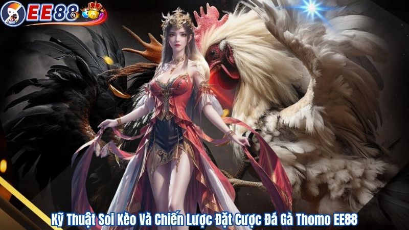 Kỹ Thuật Soi Kèo Và Chiến Lược Đặt Cược Đá Gà Thomo EE88