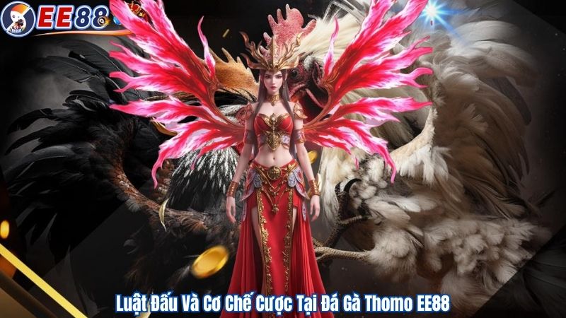 Luật Đấu Và Cơ Chế Cược Tại Đá Gà Thomo EE88